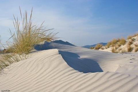 La Peonia Boutique B&B Cagliari Ngoại thất bức ảnh